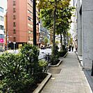 ビル前面道路