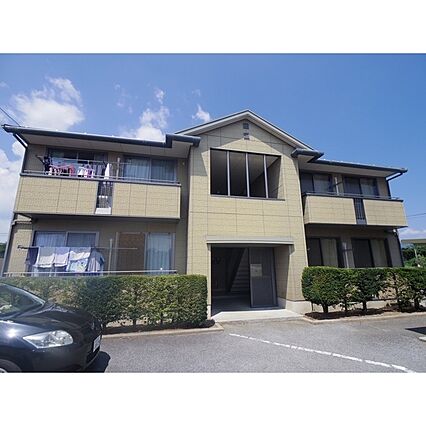 グリーンセイシェルN_トップ画像