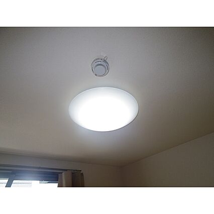 グリーンセイシェルN_その他_3