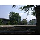 小学校「東御市立田中小学校まで810ｍ」