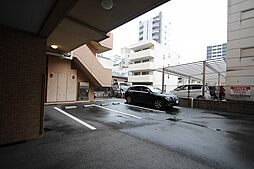 19 / 27