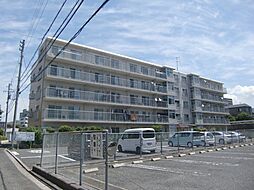 2 / 4