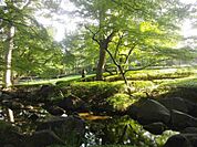 大田黒公園まで490m