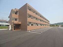 GardenCourt Ciruela