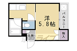 コートハウス紫明 3階/-