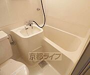 バスです。
