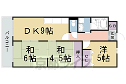 ベルべデール向日町 5階