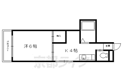 コーポ ヴィヴラヴィ 5階/-