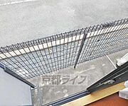 1階ベランダです