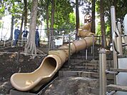  中根公園まで927m