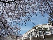 中野区立明和中学校まで2318m
