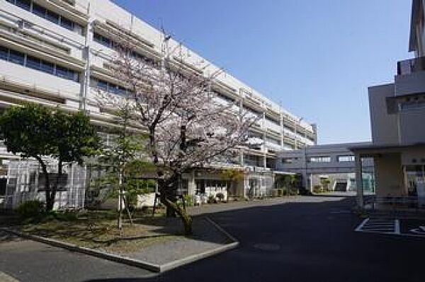 周辺を拡大表示