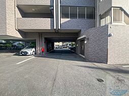 8 / 8