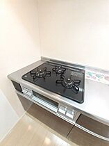 オンフォレスト芳泉 402 ｜ 岡山県岡山市南区豊成3丁目17番8号（賃貸マンション1LDK・4階・43.94㎡） その5