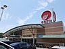 周辺：マルナカ郡店まで500m