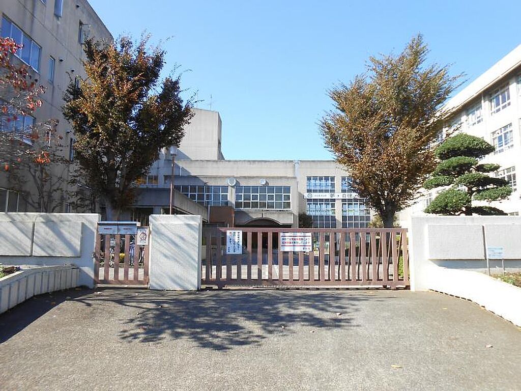 Image 10