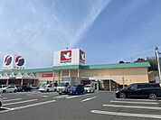 平和堂 甲西店（4013m）