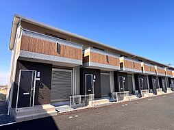 Cherry Blossom（チェリーブロッサム）　　A