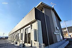 Lupinus（ルピナス）