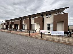 Chataigne（シャテーニュ） 102