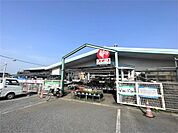 コメリハード＆グリーン岩間店（1710m）