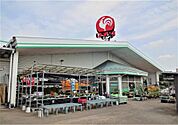 コメリ ハード＆グリーン江戸崎店（849m）