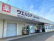 ウエルシア二宮久下田店（730m）
