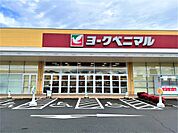 ヨークベニマル小山ゆうえんち店（673m）