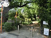 十条野鳥の森緑地