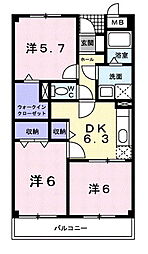 サンフラワーK.T