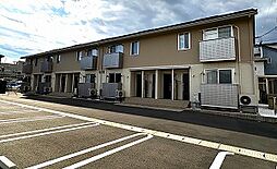 アスコット