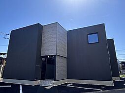 INTEGRAL Ciel