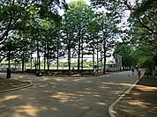 光が丘公園1100m