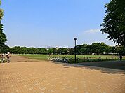 光が丘公園1100m
