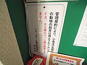 掲示物。