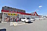 周辺：ゴダイドラッグ田寺東店