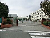 横浜市立中沢小学校まで約290ｍ