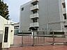 周辺：横浜市立共進中学校まで約800ｍ