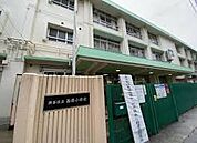 小学校 渋谷区立西原小学校 166m