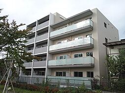 ソフィアコート扇
