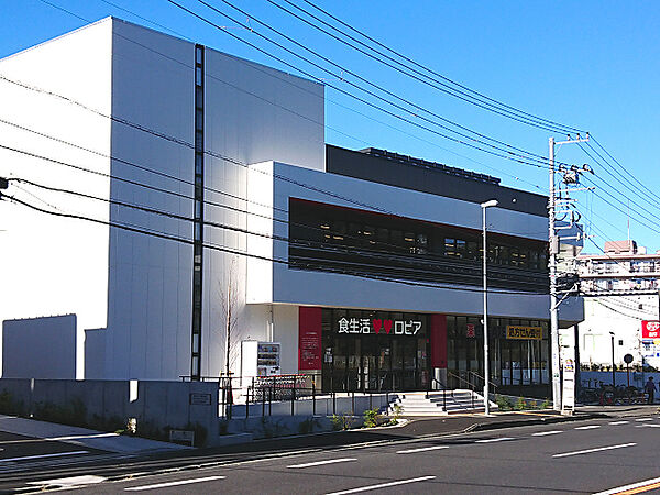 周辺を拡大表示