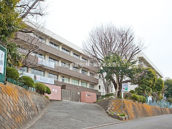【海老名市立大...