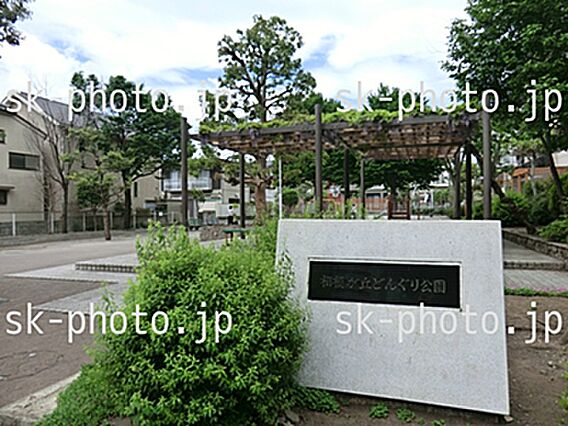 【どんぐり公園...