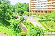 【かにが沢公園】432m　春は桜の見応えがあります。大型遊具もありお子様連れに最適です。車場・トイレ・自販機・アイスも完備です。