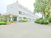 【寒川町立寒川小学校】1650ｍ　寒川町中央に位置し小高い丘の上に位置します。 寒川で一番最初の小学校です。桜も樹齢が古く立派で満開の時期は圧巻です 