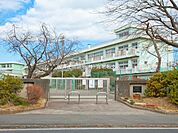 【厚木市立緑ヶ丘小学校】　多くの周りの地域の小学生が通っていて、とても賑やかな小学校です。グランドには大きな桜の木があって春には綺麗な花を咲かせます。