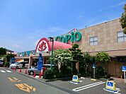 【コピオ　愛川】2530ｍ　駐車場がとても広くて、300台ぐらいは優に停められます。カー用品店や書店などがあり、一度に色んな買い物が出来ます。