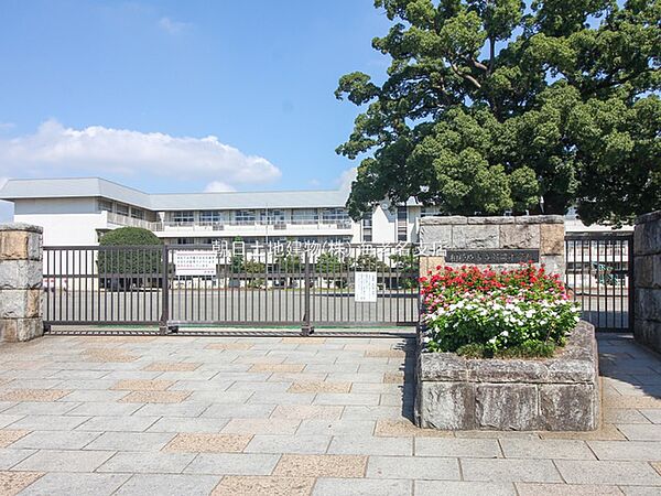 周辺を拡大表示