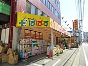 どらっぐぱぱす 650m