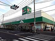 マルエツ草加稲荷店 706m